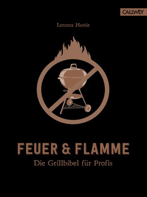 cover image of Feuer & Flamme